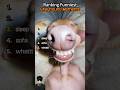 Ranking Funniest Greyhound Moments