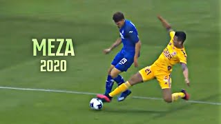 Francisco Meza ● Mejores Jugadas Defensivas 2020