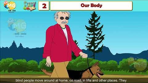 OUR BODY || CHAPTER 2|| CLASS 3|| EVS || FREE ONLINE LEARNING CLASS