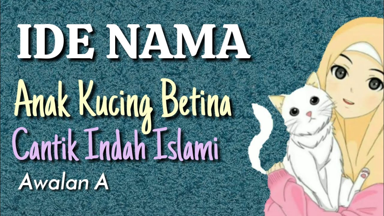 Nama kucing betina lucu