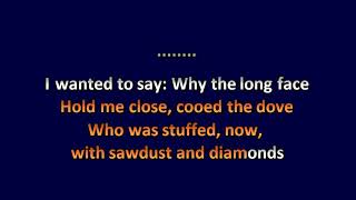 Joanna Newsom - Sawdust & Diamonds - Karaoke Instrumental Lyrics - ObsKure