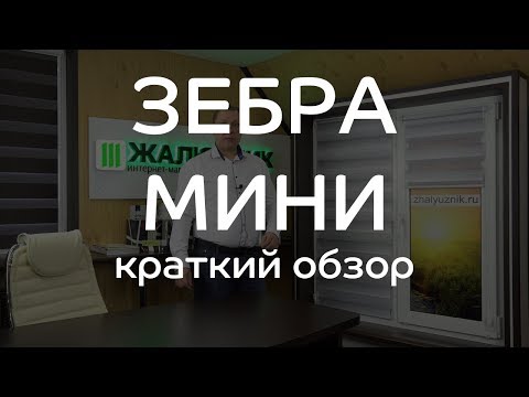 ОБЗОР РОЛЬШТОР ЗЕБРА МИНИ -кратко-   ЖАЛЮЗНИК