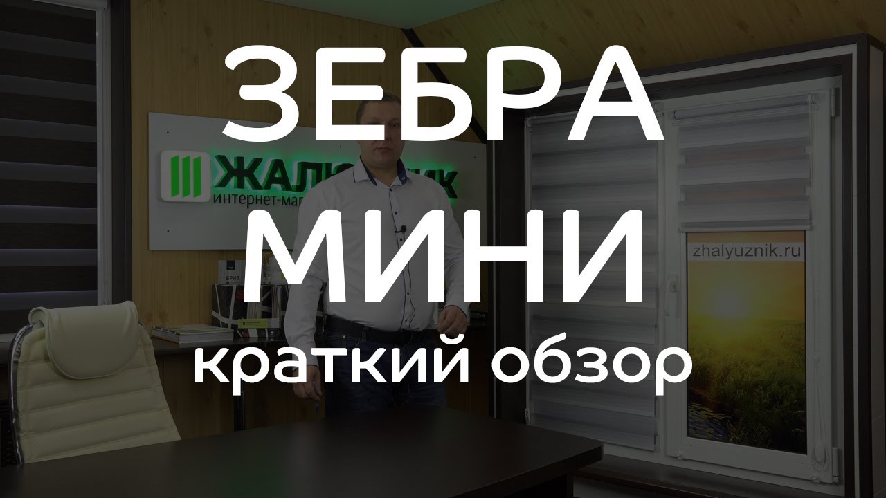 ОБЗОР РОЛЬШТОР ЗЕБРА МИНИ (кратко) - ЖАЛЮЗНИК - YouTube