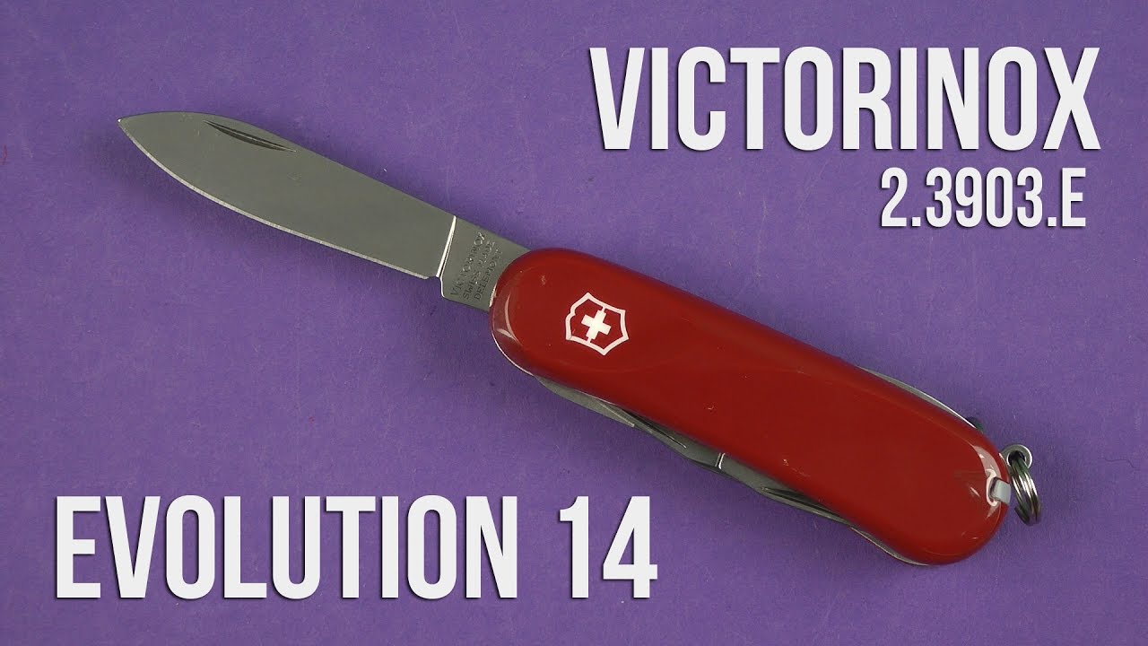 Briceag　14,　Evolution　Victorinox　rosu