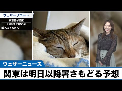 肌寒かった関東 明日以降は暑さもどる予想 Youtube