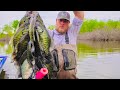 Spawn crappie fishing with a jig before a spring cold front good or bad