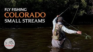 Colorado Fly Fishing  Small CREEK Trout Fishing