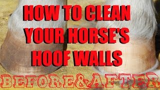 How to Clean Your Horse's Hoof Walls