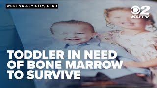 Toddler in need of bone marrow transplant to survive rare brain disease