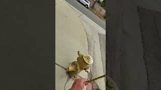 Let’s find out how tall is FIRE HYDRANT!!!!