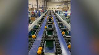 Vizier Systems: Ellips Technology Upgrades