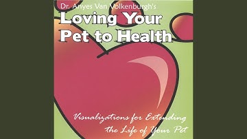 Introduction to Visualization