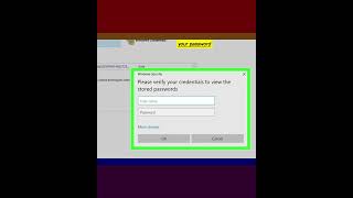 How to View Passwords in Credential Manager on Windows screenshot 2