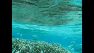 MVI_0070.AVI
