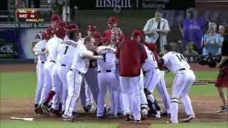 Goldschmidt 2013 highlights
