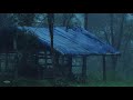 Rain on Shelter with Tarp & Distant Thunder | Help Study, Meditation, PTSD, Insomnia & Tinnitus