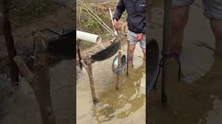 Bird Pest Nemesis Auto-Clang Water Scarer
