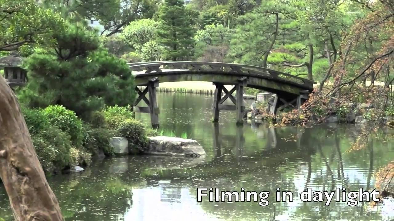 JVC/ Victor - Everio GZ-HM350-B 1920p (Day and Night, Japan)