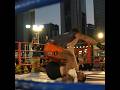Reinier De Ridder | #ONE166 | Open Workouts