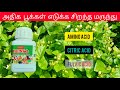 Benso | Best Flowering Tonic | Micronol | Tamil