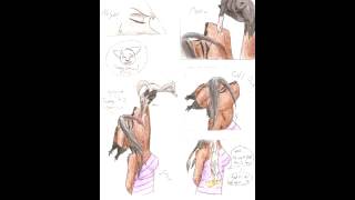 Nicole Commission Vore Lean La Descripción