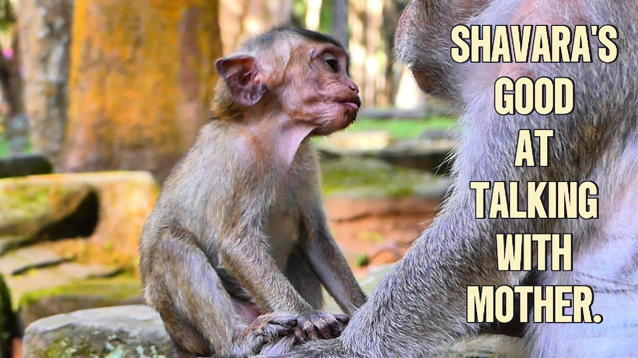 Shavara Chats with Mama for Snacks,