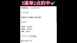 【帯払い戻し】新潟競馬6レース当たり♡ #万馬券 #中央競馬予想 #まい競馬