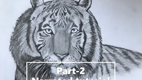 Part- 2 | How to draw a tiger [narrated step by step tutorial] | realistic pencil drawing