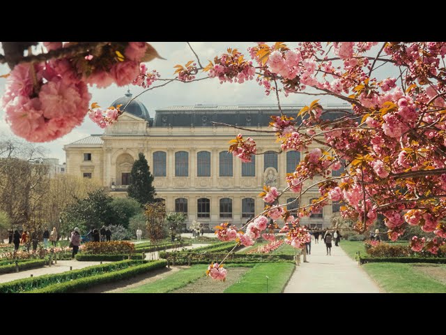 Springtime in the Jardin des Plantes (4K) - Paris Live #144 - YouTube