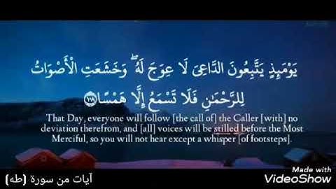 #قرآن ⁦🎙️⁩، (وخشعت الأصوات للرحمن ،وعنت الوجوه للحي القيوم) بصوت القارئ/ أحمد بن نبيل السلك