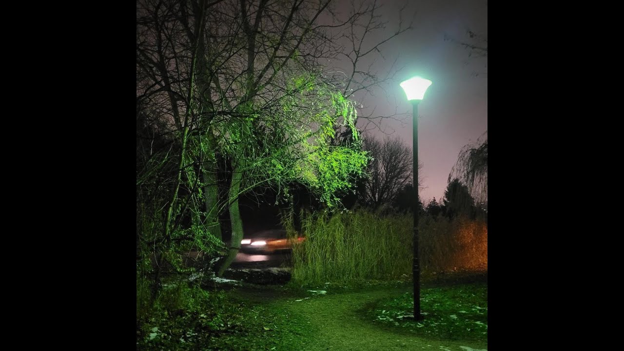 nosgov + senses + bno type beat "transparent fingers" @rainn_god