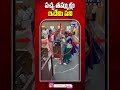 పచ్చ తమ్ముళ్లు ఇదేమి పని#NominationFiling #NominationProcess #APNominations #NominationIssue