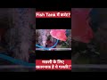 “Fish Tank में करंट? मछली के लिए खतरनाक है ये गलती!” #fish #fishtank