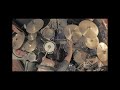 Aces high by iron maiden  johnnyrowe drumcover caledonia drum studio