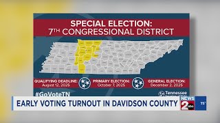 Early voting turnout in Davidson County