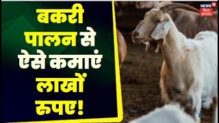 Annadata: बकरियों की उचित देखरेख का सही तरीका | Goat Farming | Bakri Palan | Hindi News