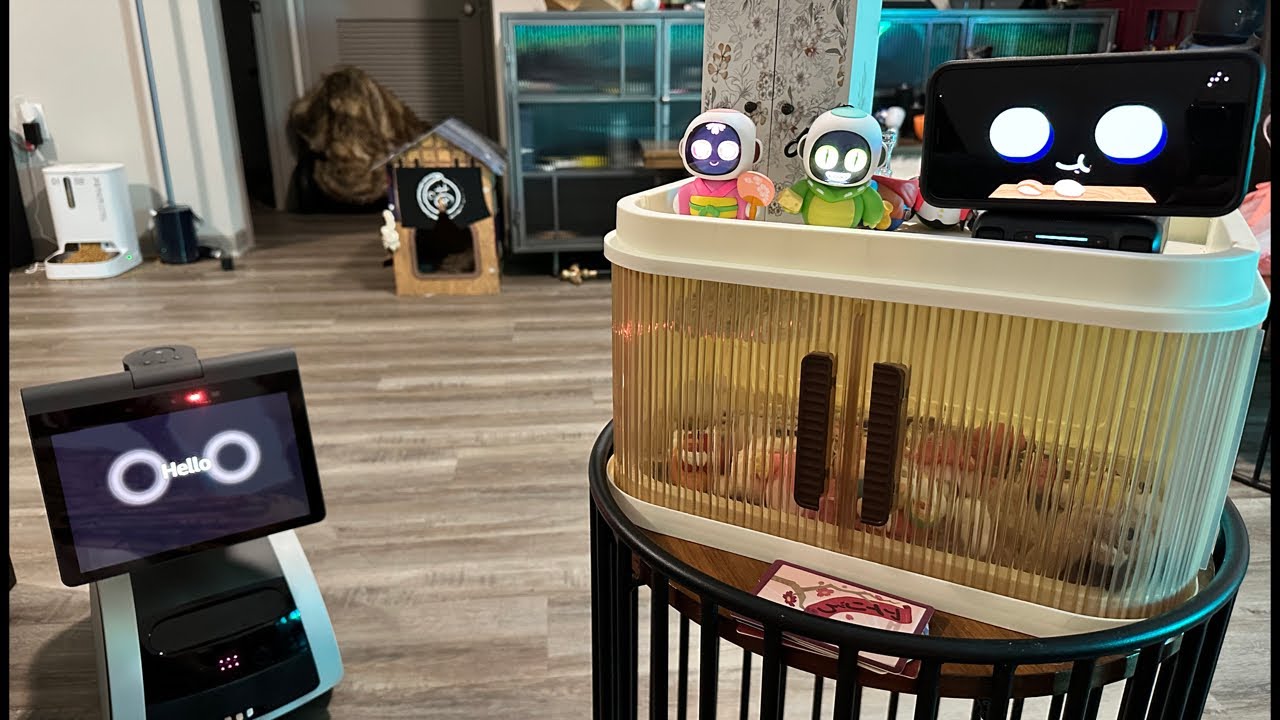 LOOI & Friends - Saturday Robot Chat (Name Calling)