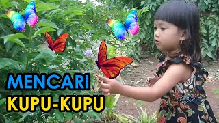 Mencari Kupu Kupu Cantik Lucu yg Hinggap Di Bunga Warna Warni