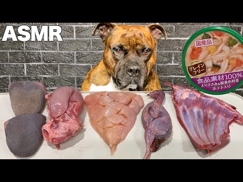【大食い犬ASMR】生肉は飲み物だと思っている愛犬www