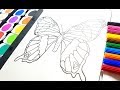 Coloring Rainbow butterfly / 著色彩虹蝴蝶 / Окраска Радужная бабочка / لون فراشة قوس قزح