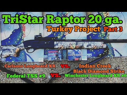 TriStar Raptor 20 ga. Turkey Project Part 3