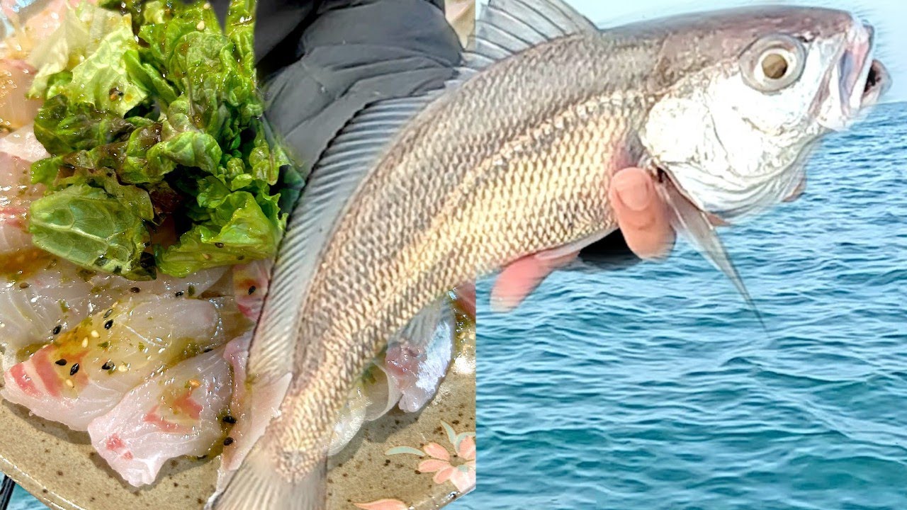 Unbelievable Flavor from 500 Feet Deep! Osaka Bay's Deepest