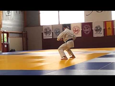 Kata JION Passage de godan Jean-Claude Saint-Lô 2014