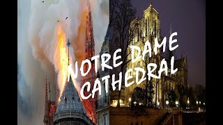 Notre Dame Cathedral facts & more! || Arson footage + video included!!