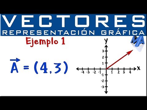 Video: Cómo Dibujar Un Vector