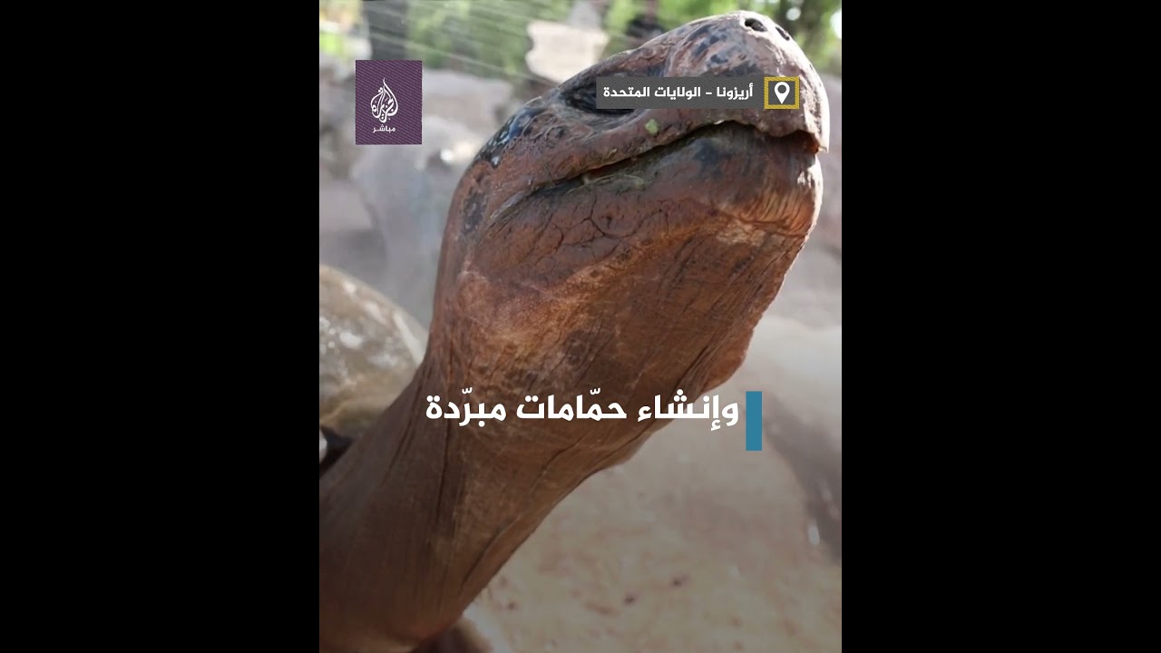 طريقة مبتكرة لمواجهة شدّة الحرّ في أمريكا