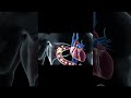 What happens in your body minutes after drinking cola( Detailed Animation)