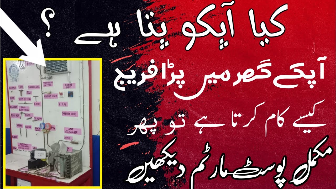 How Does Refrigerator Work Completely Explain In Hindi/ UrduFridge