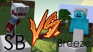 Speed Bridging Vs Breezily Bridging