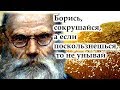 Что нужно делать? Правила и законы духовной жизни.  Игумен Никон (Воробьев) ☘️🌸☘️